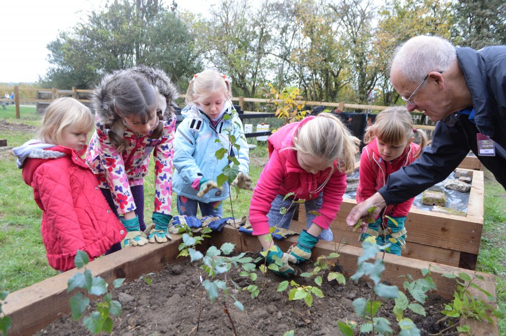 A1.2 Community Tree Nursery: ‘Locally Grown, Locally Sourced’ – Land Of ...